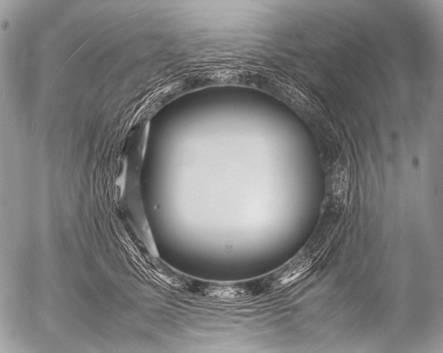 X0000053050611200507251425