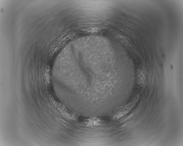 X0000053050612200507251425