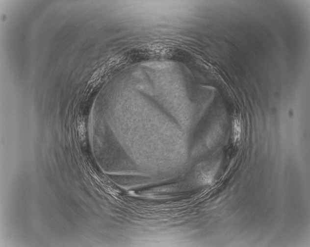 X0000053050613200507251425