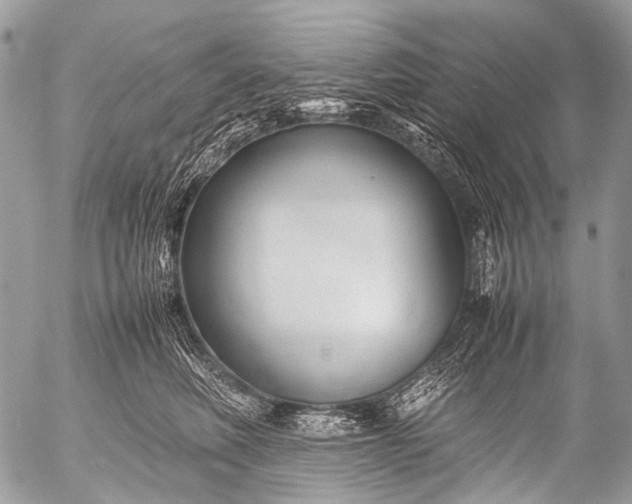 X0000053050614200507251425