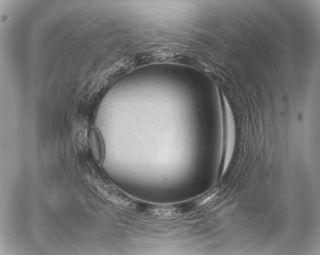 X0000053050615200507251425