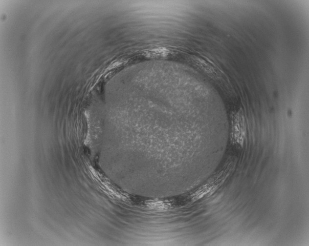 X0000053050616200507251424