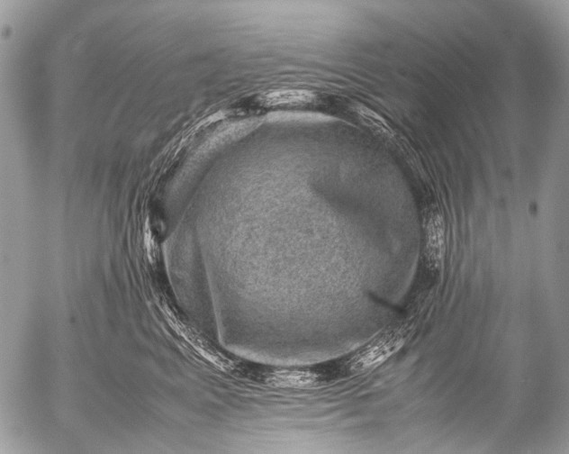 X0000053050617200507251424