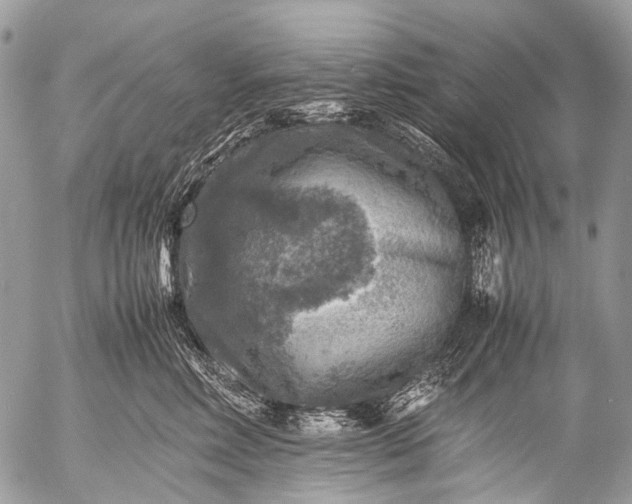 X0000053050618200507251424