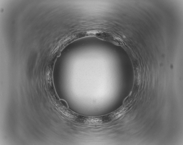 X0000053050619200507251424