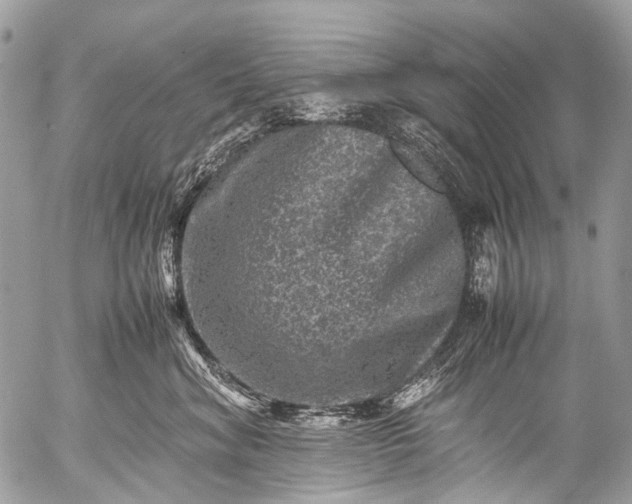 X0000053050620200507251424