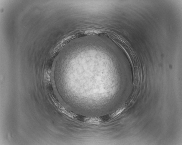 X0000053050621200507251424