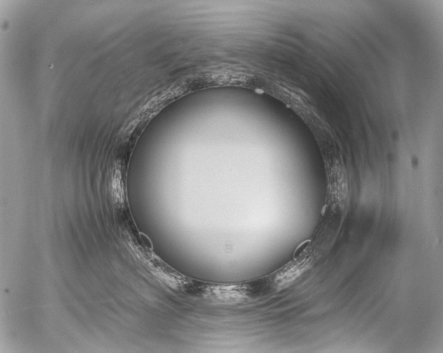 X0000053050622200507251424