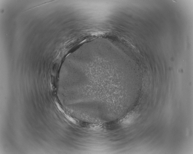 X0000053050624200507251424