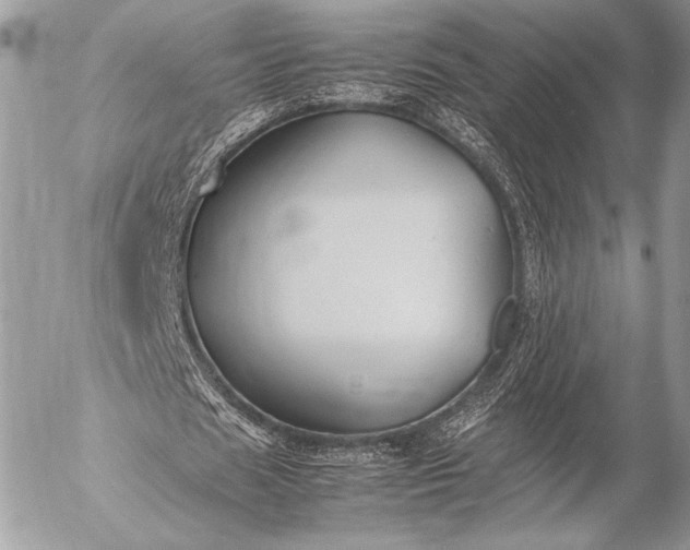 X0000053050625200507251424