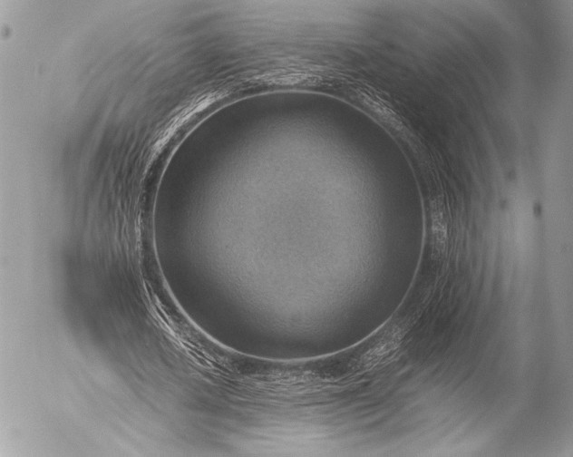 X0000053050626200507251424