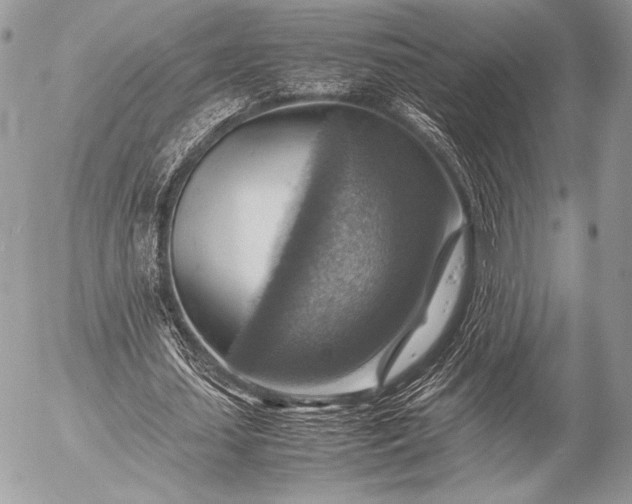 X0000053050627200507251424