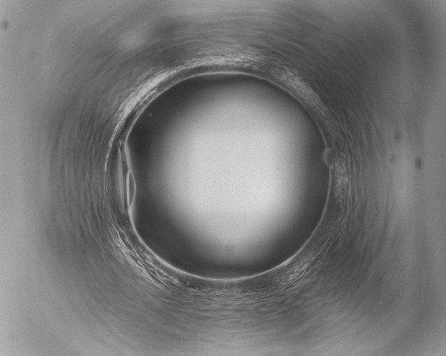 X0000053050628200507251424