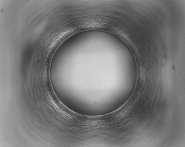 X0000053050629200507251424