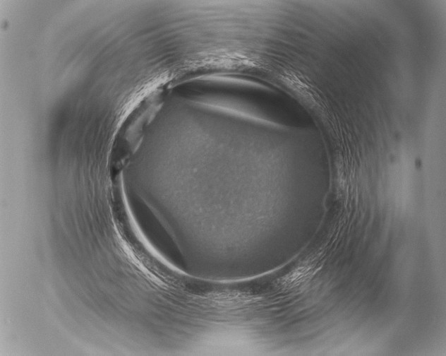 X0000053050630200507251424