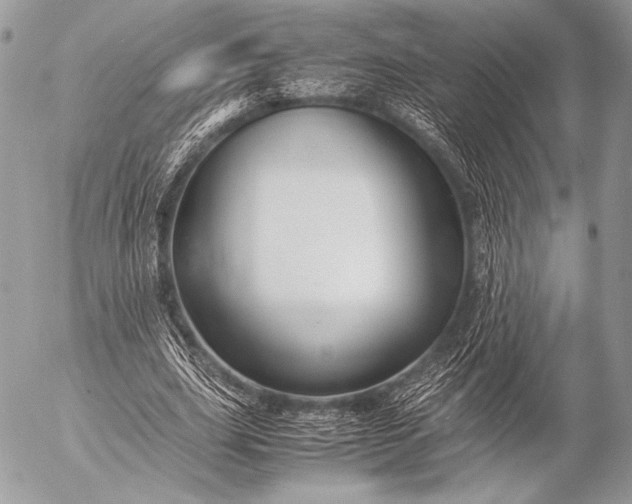 X0000053050631200507251424