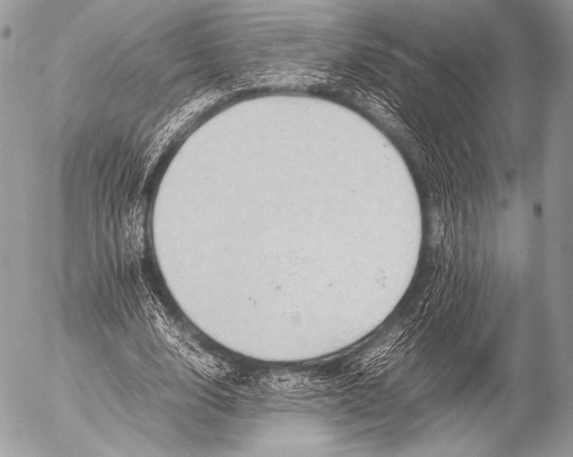 X0000053050632200507251424