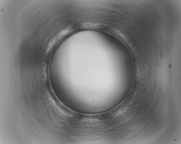 X0000053050633200507251424