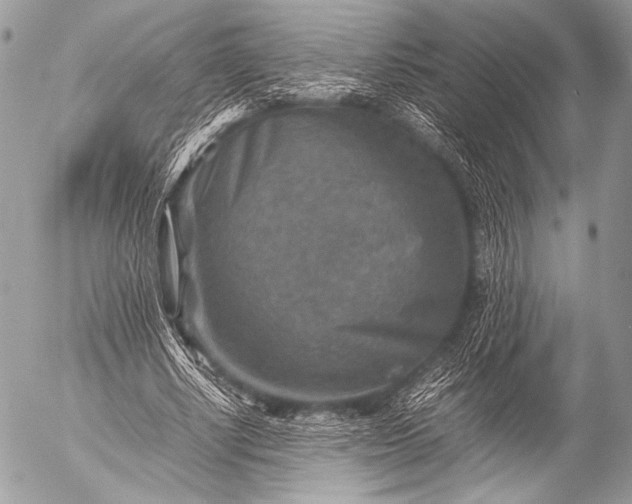 X0000053050634200507251424