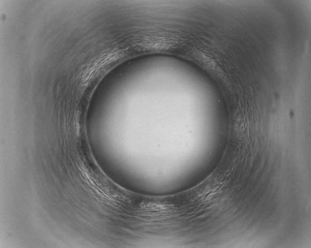 X0000053050635200507251424