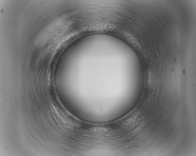 X0000053050636200507251424