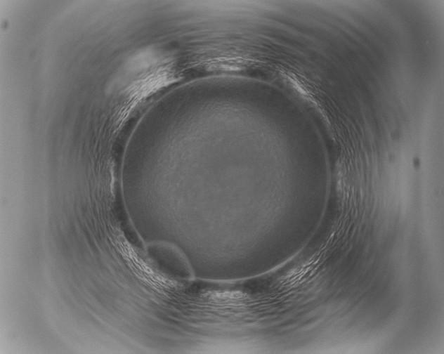 X0000053050637200507251424