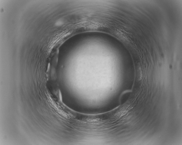 X0000053050638200507251424