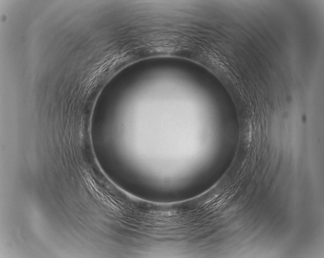 X0000053050639200507251424