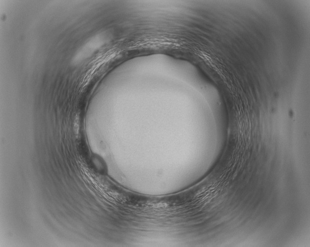 X0000053050640200507251424