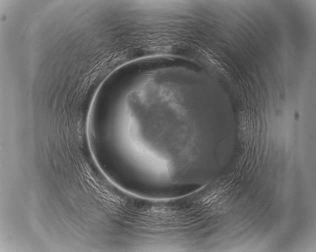 X0000053050641200507251424