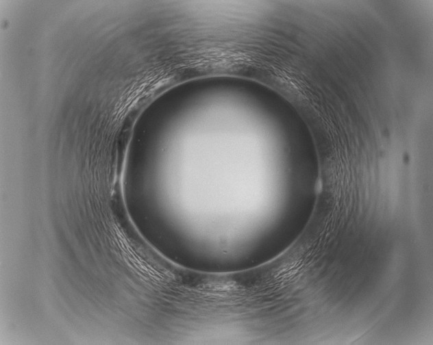 X0000053050642200507251424