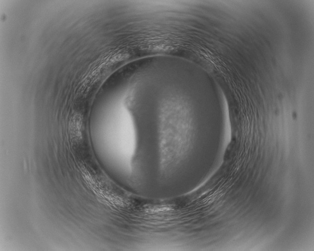 X0000053050643200507251424