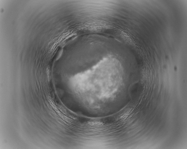 X0000053050644200507251424