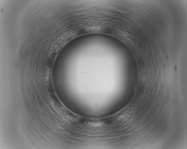 X0000053050645200507251424