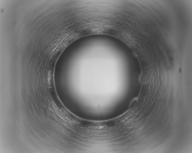 X0000053050646200507251424