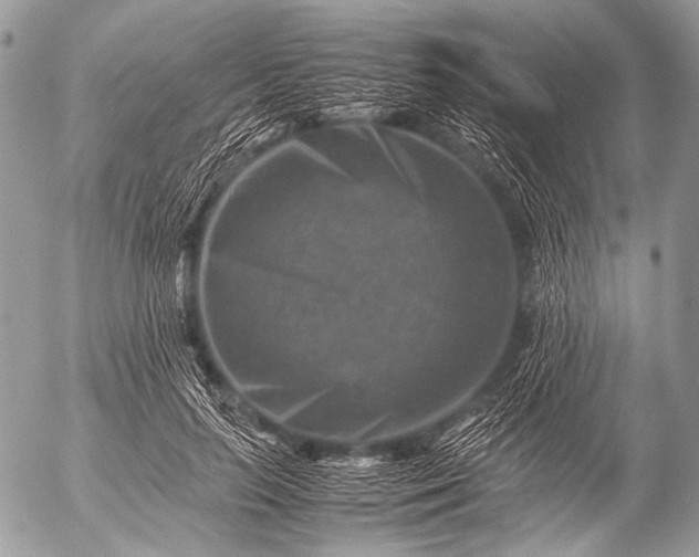 X0000053050647200507251424