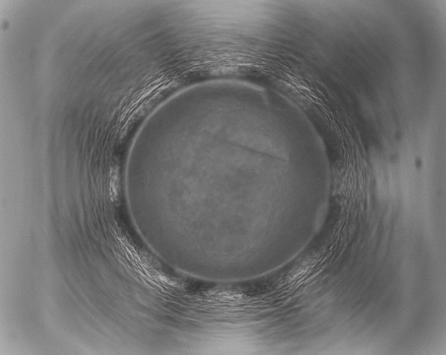 X0000053050648200507251424