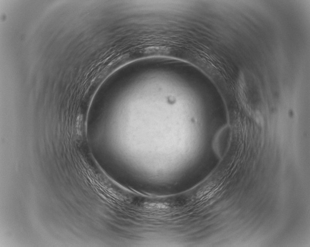 X0000053050649200507251424