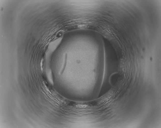 X0000053050650200507251424