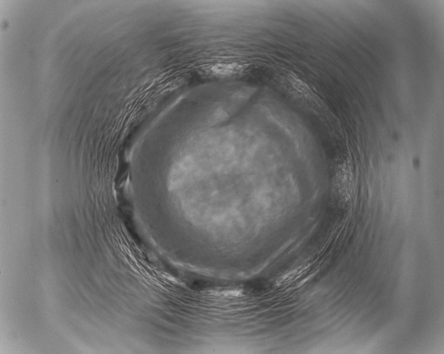 X0000053050651200507251424