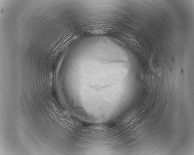 X0000053050652200507251424