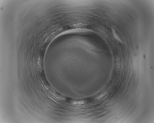 X0000053050653200507251424