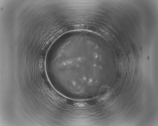 X0000053050654200507251424