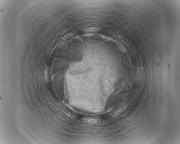 X0000053050655200507251424