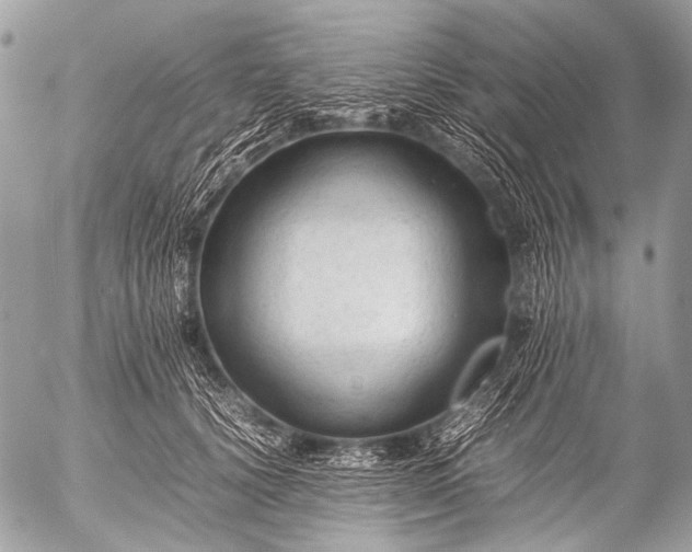 X0000053050656200507251424