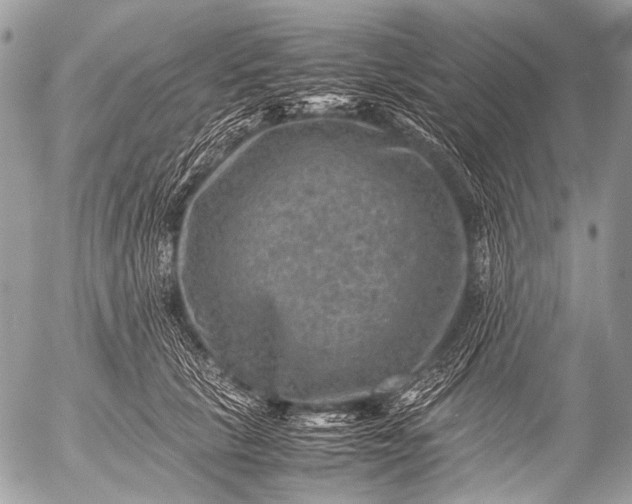 X0000053050657200507251424