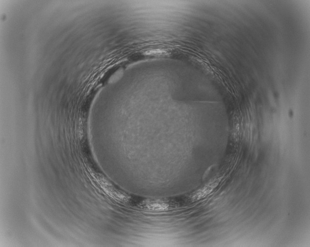 X0000053050658200507251424