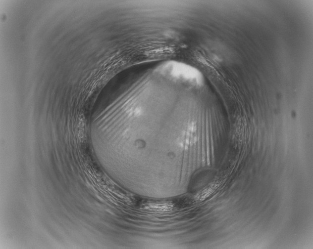 X0000053050659200507251424