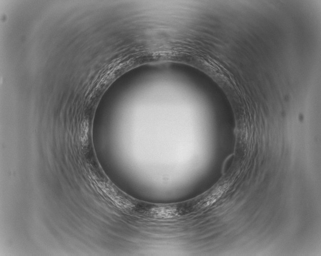 X0000053050660200507251424