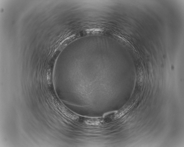 X0000053050661200507251424